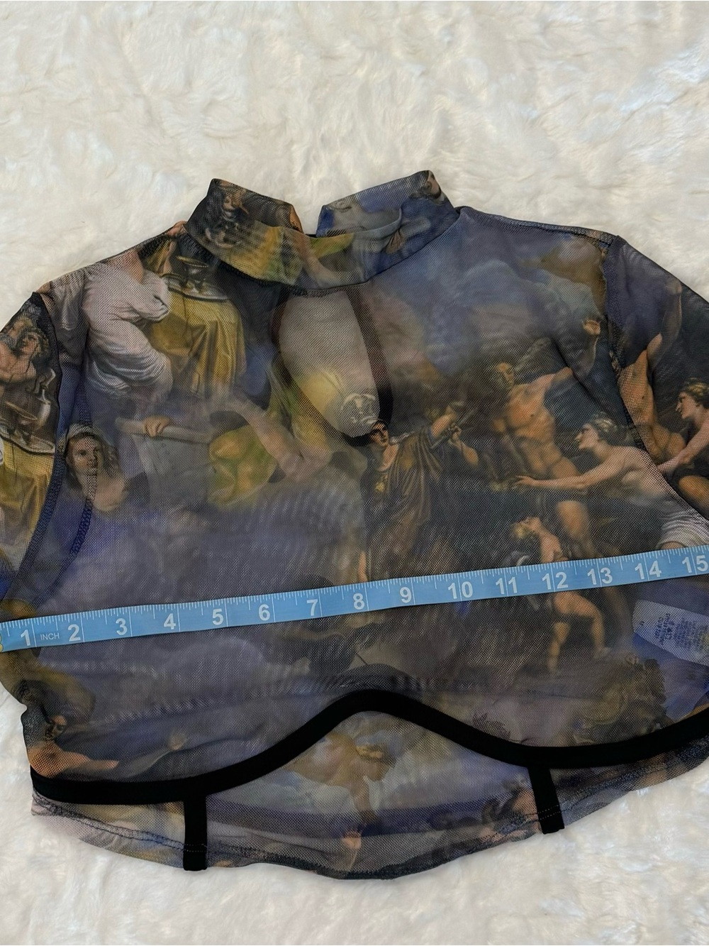 Fashion Nova Renaissance Print Sheer Crop-Top in Size Medium - Picture 12 of 13